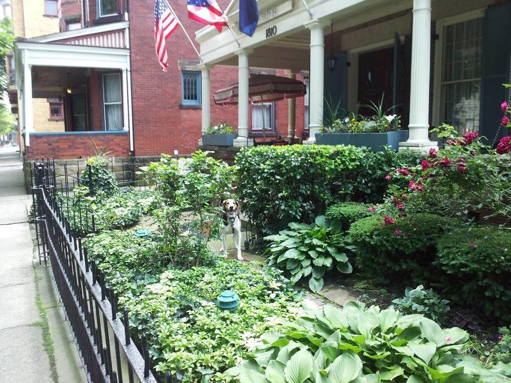 Clifford House Private Home B&B クリーブランド エクステリア 写真