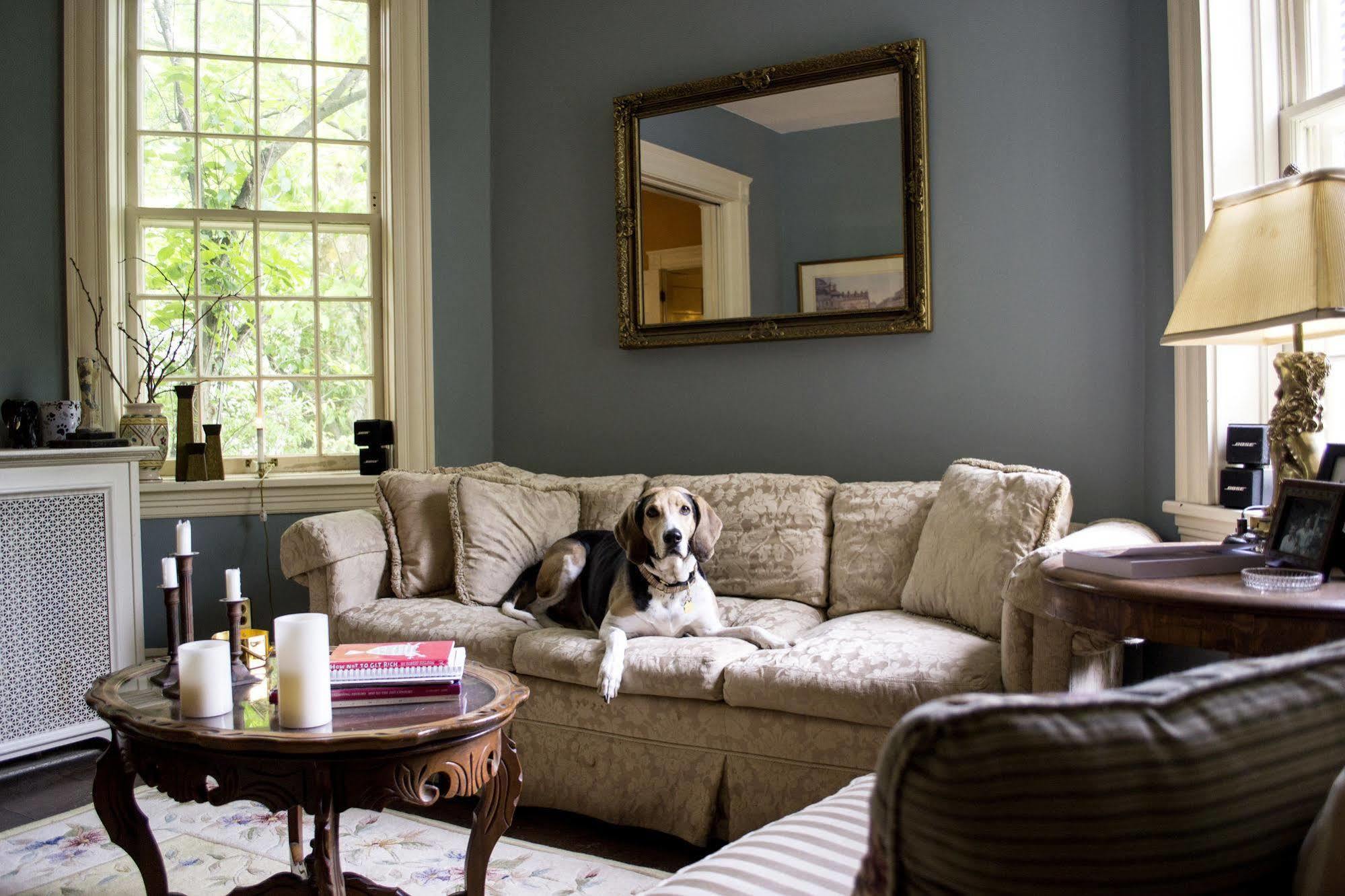 Clifford House Private Home B&B クリーブランド エクステリア 写真